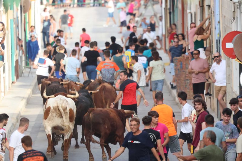 Els Coves s’enduu tots els premis del Concurs de Ramaderies de les Festes de Pedreguer Els Coves s’enduu tots els premis del Concurs de Ramaderies de les Festes de Pedreguer